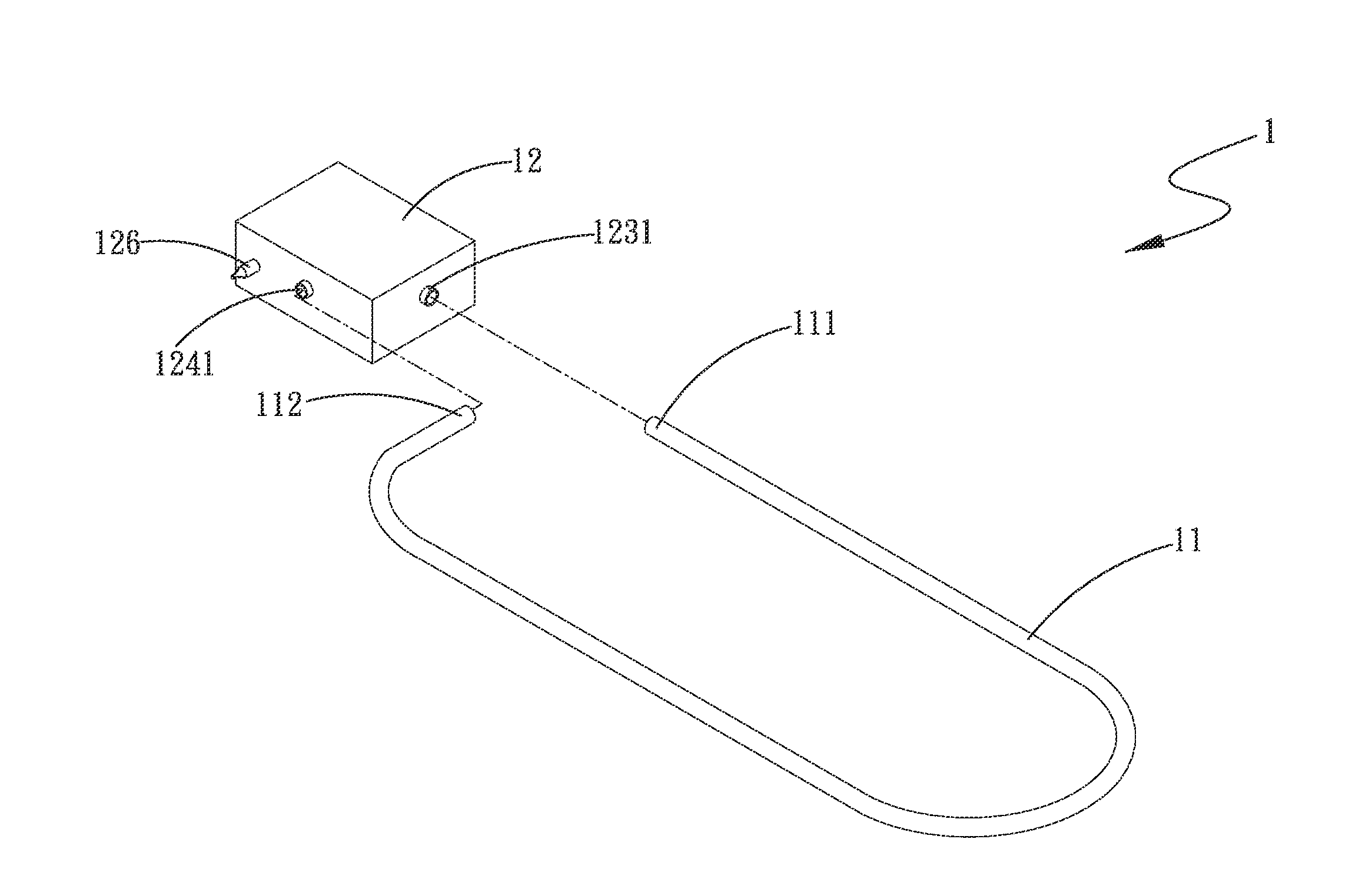 Loop heat pipe structure