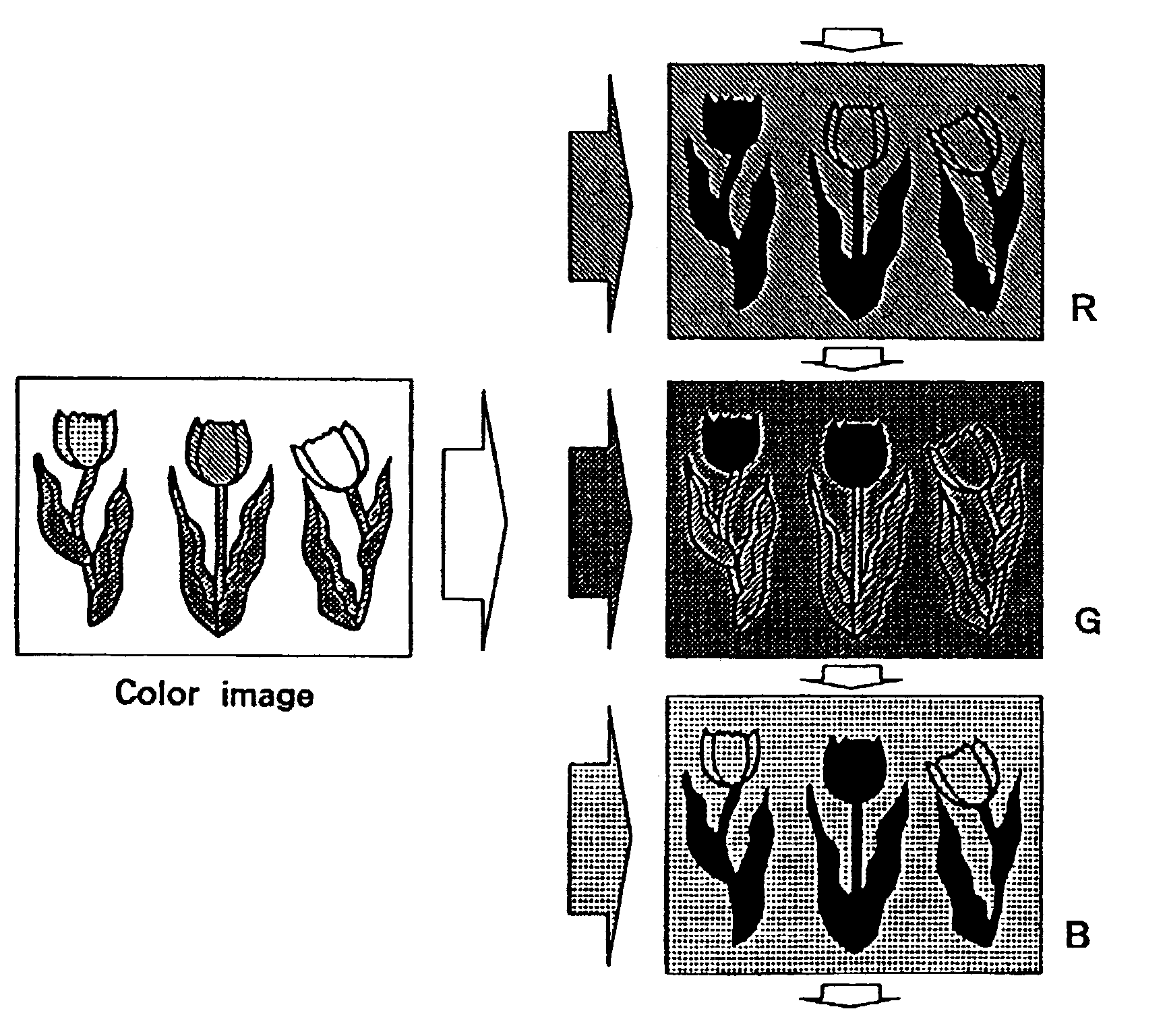 Matrix driven liquid crystal display module system, apparatus and method