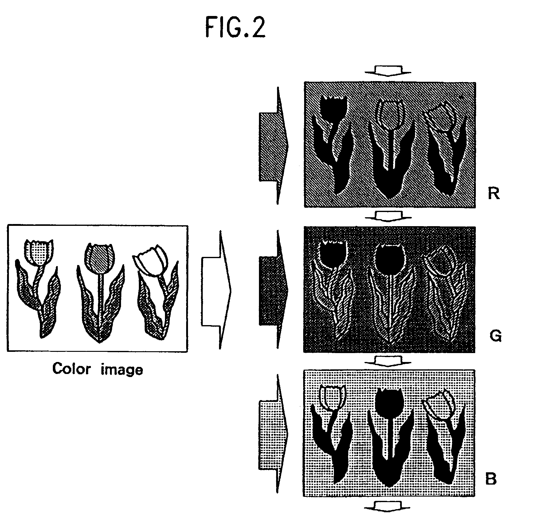 Matrix driven liquid crystal display module system, apparatus and method