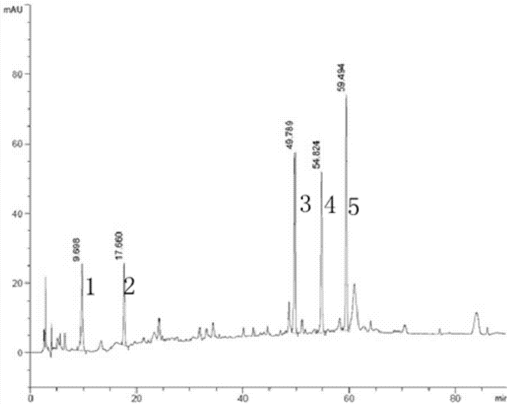 Detection method for Gymnadenia conopsea medicinal material