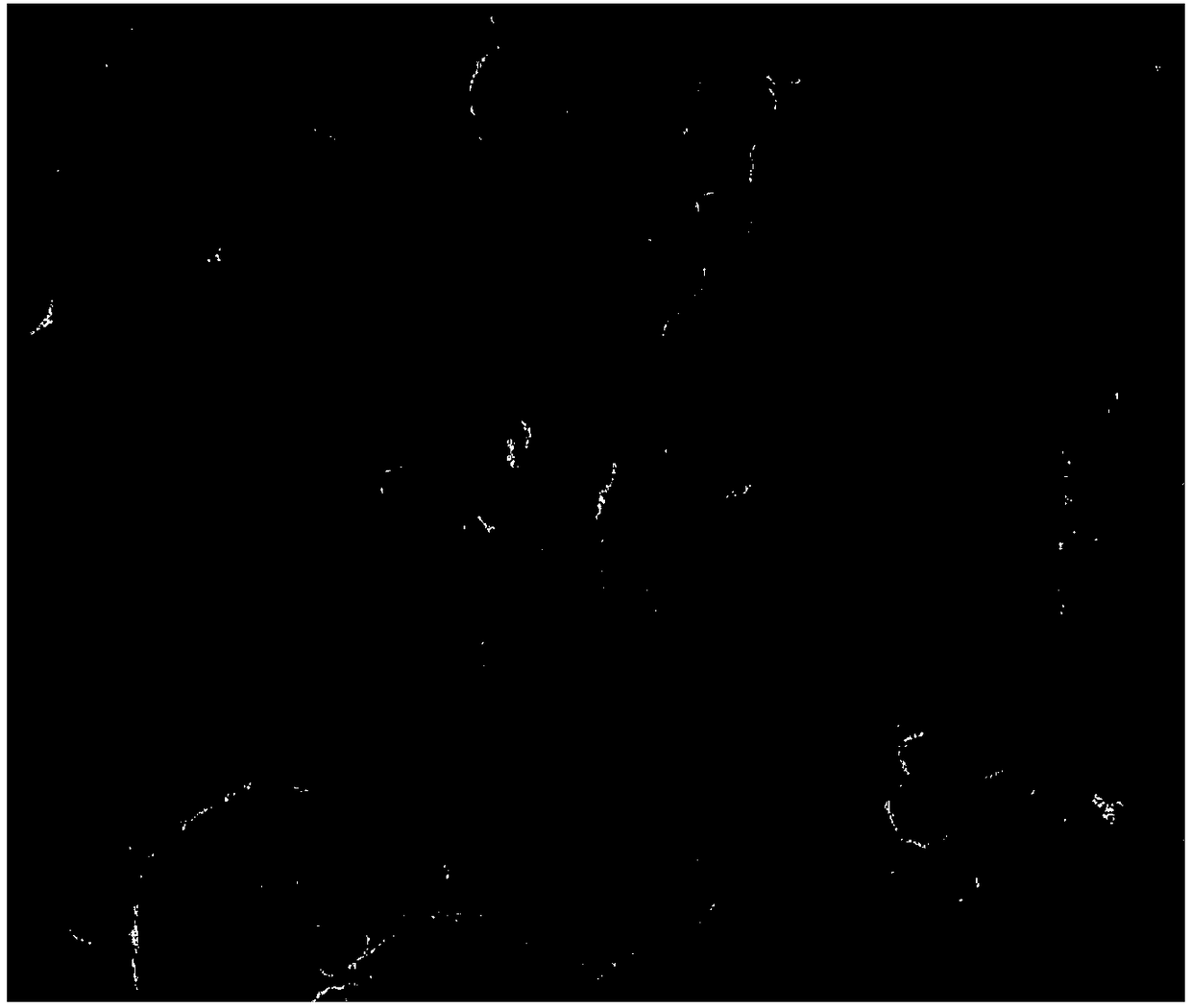 Method for preparing aniline-pyrrole copolymer under assistance of microwaves