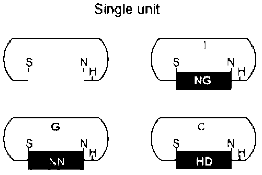 Construction method for gene site-specific mutagenesis in embryonic cell of mouse