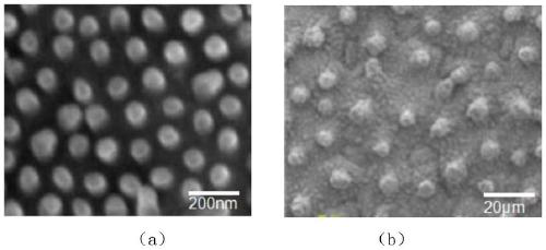 Method for preparing super-hydrophobic surface with micro-nano needle protrusions through microwaves