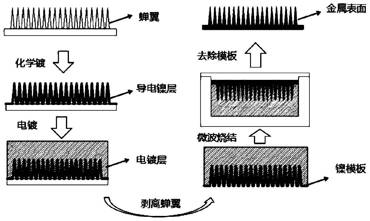 Method for preparing super-hydrophobic surface with micro-nano needle protrusions through microwaves