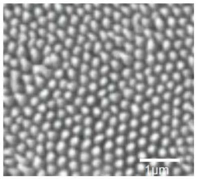 Method for preparing super-hydrophobic surface with micro-nano needle protrusions through microwaves