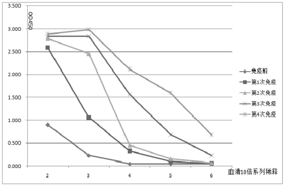 Single-domain antibody combined with immunoglobulin, anti-avian influenza single-domain antibody, bifunctional antibody and application thereof