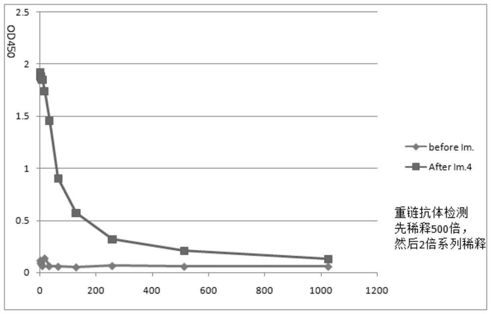 Single-domain antibody combined with immunoglobulin, anti-avian influenza single-domain antibody, bifunctional antibody and application thereof