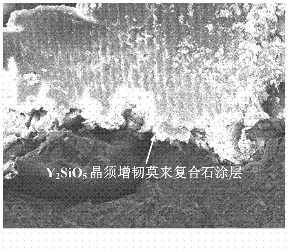 Preparation method of Y2SiO5 whisker toughened mullite composite coating