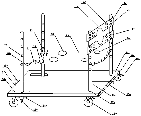 Canine and pig experimental animal fixation device