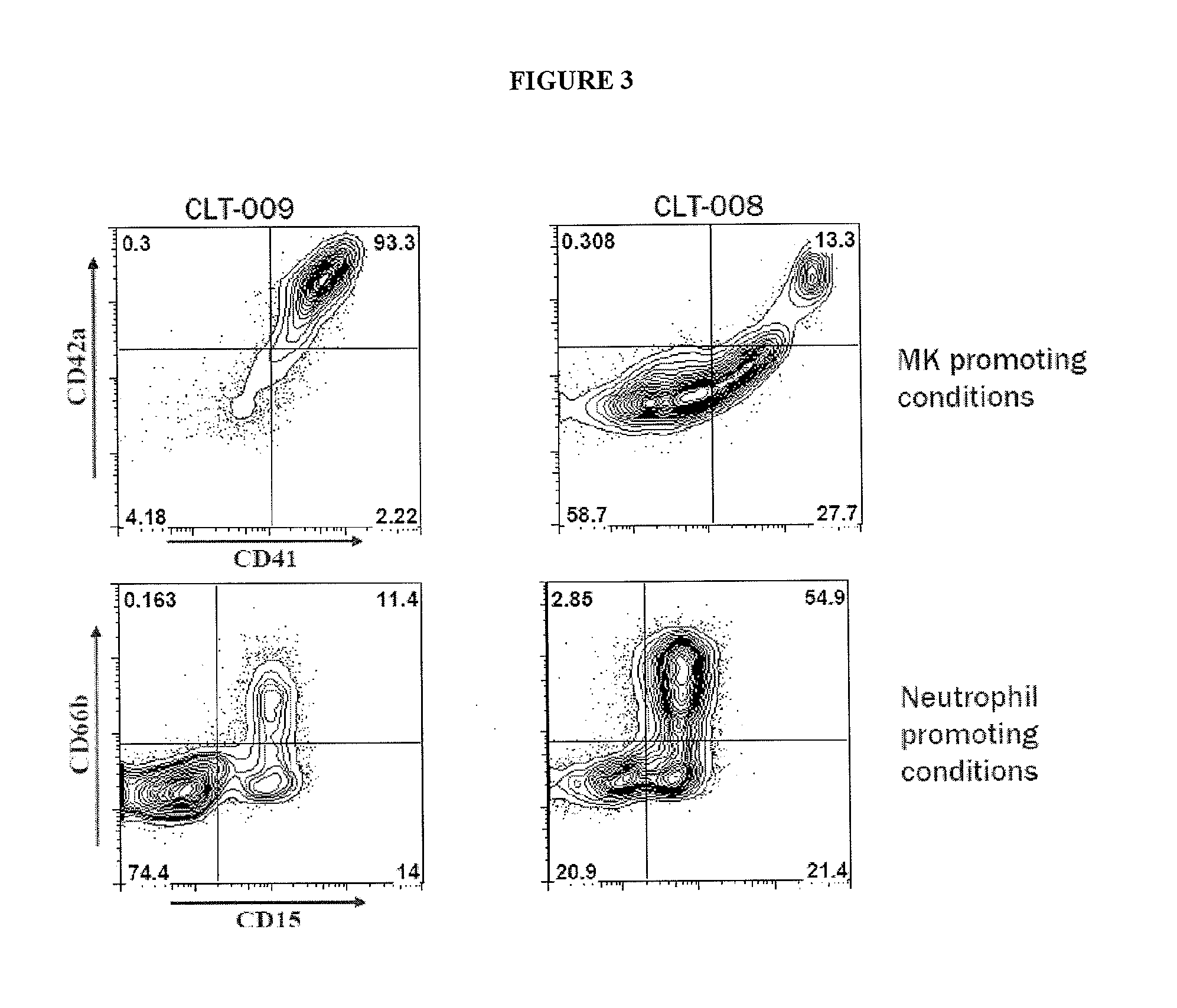 Megakaryocyte progenitor cells for production of platelets