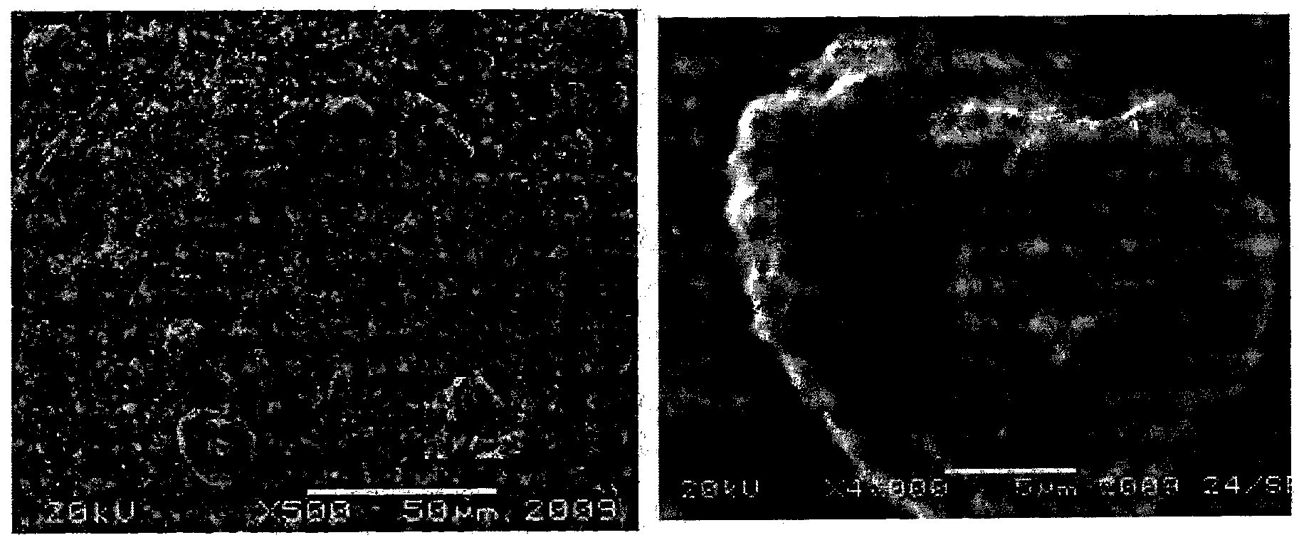 Preparation method and application of micro/nano structured LiFePO4 compound