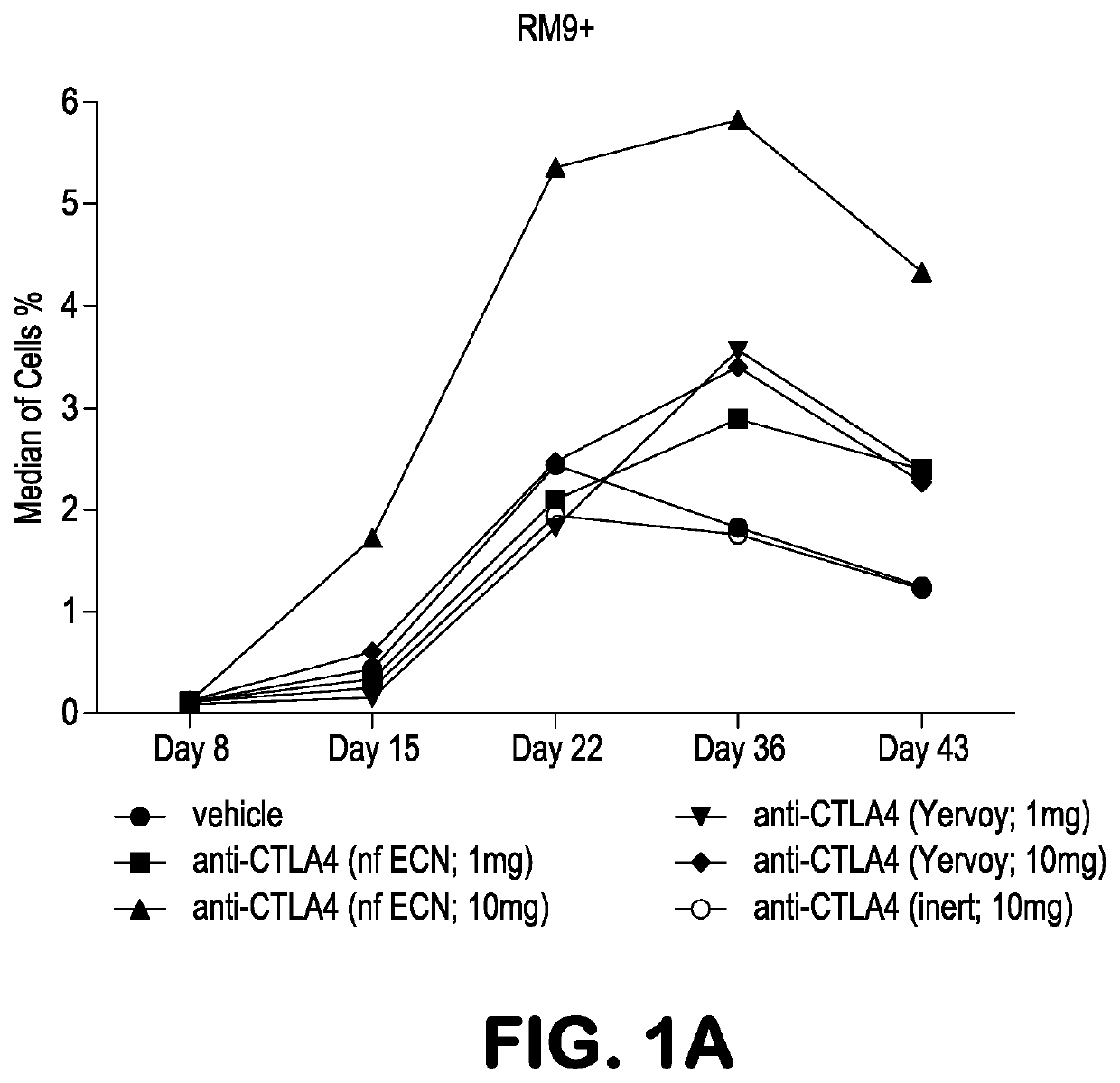 Use of Anti-ctla-4 antibodies with enhanced adcc to enhance immune response to a vaccine