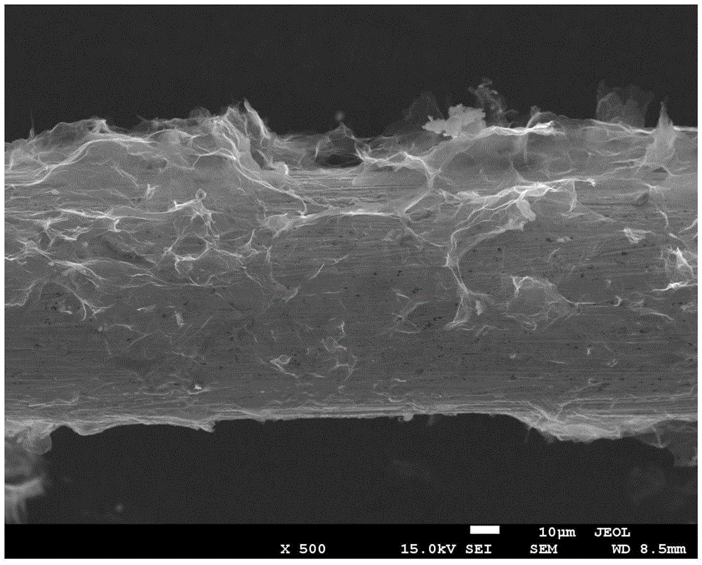 Preparation method for a porous graphene microelectrode and applications