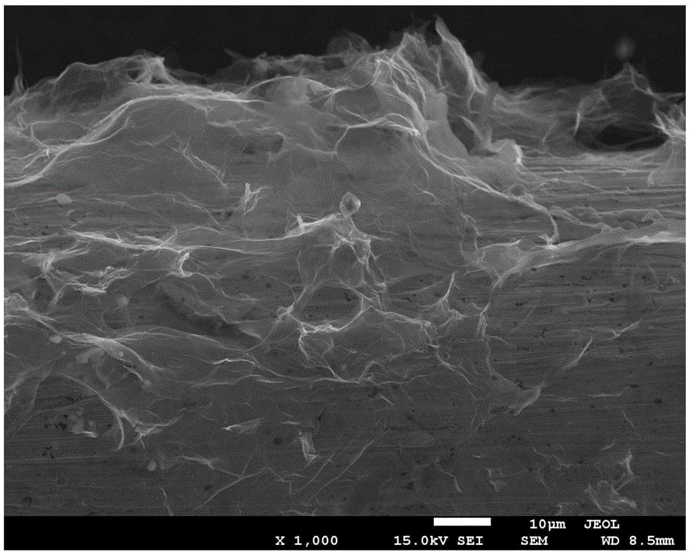 Preparation method for a porous graphene microelectrode and applications