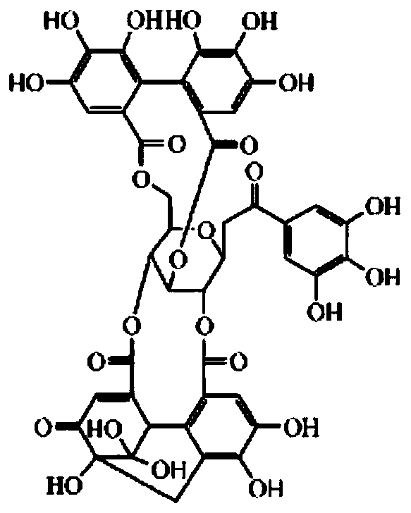 Application of geraniin in preparation of medicine for treating osteoporosis combined fracture