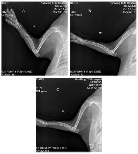 Application of geraniin in preparation of medicine for treating osteoporosis combined fracture