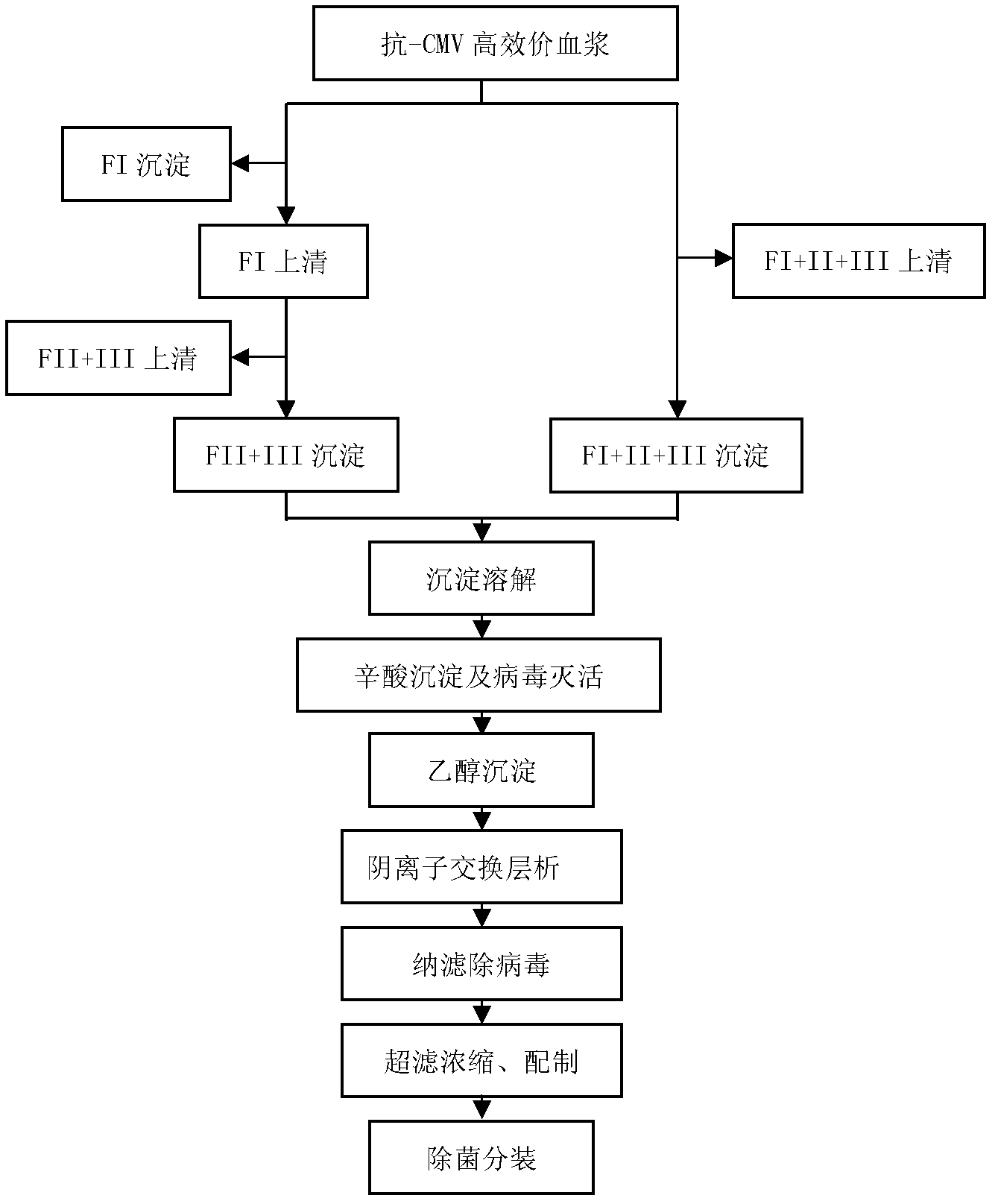 Human cytomegalovirus immunoglobulin for intravenous injection and preparation method thereof