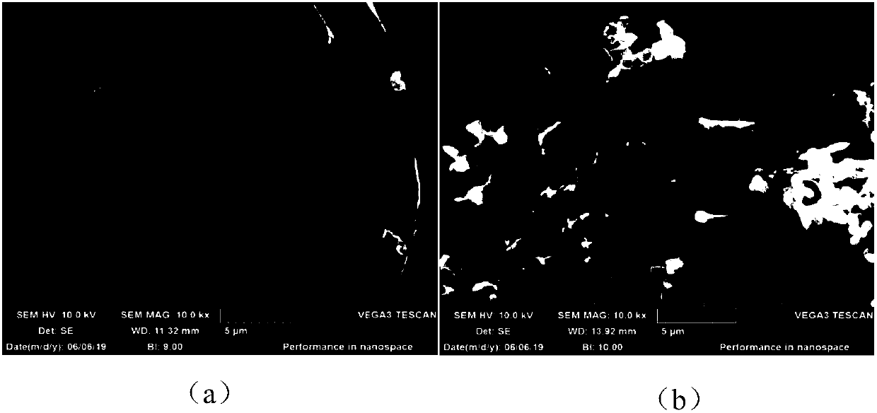 Phenol-degrading bacterium immobilization spherical granules and preparation method and application thereof