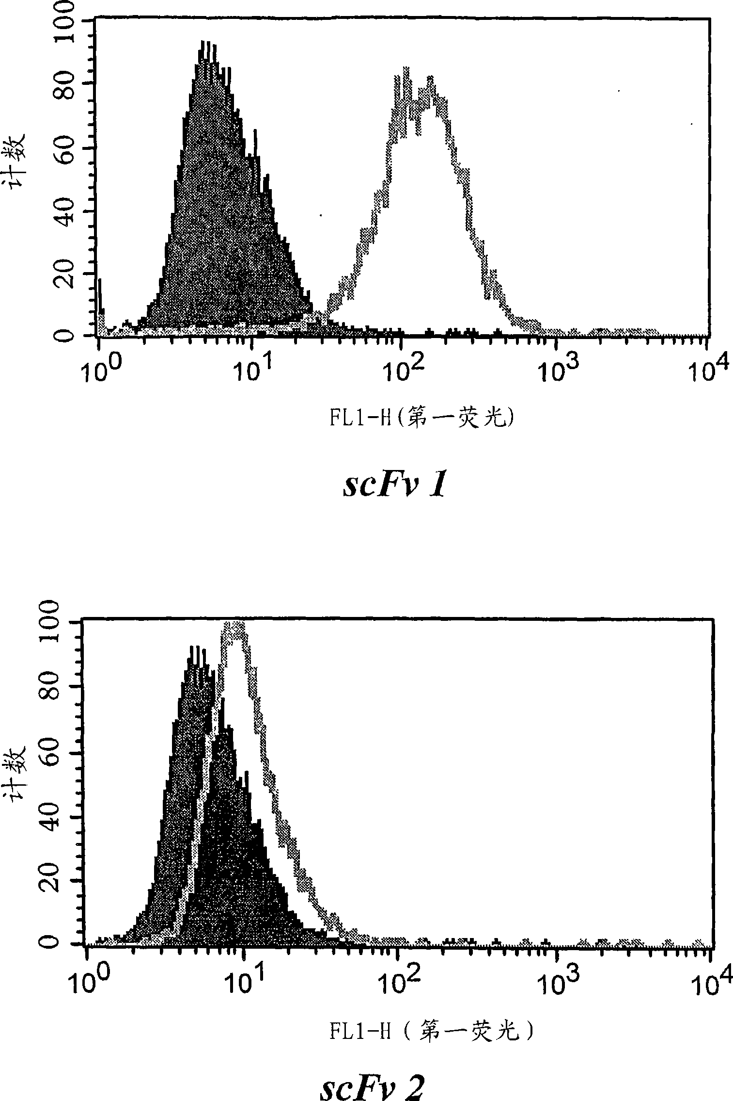 Antibody library screening method