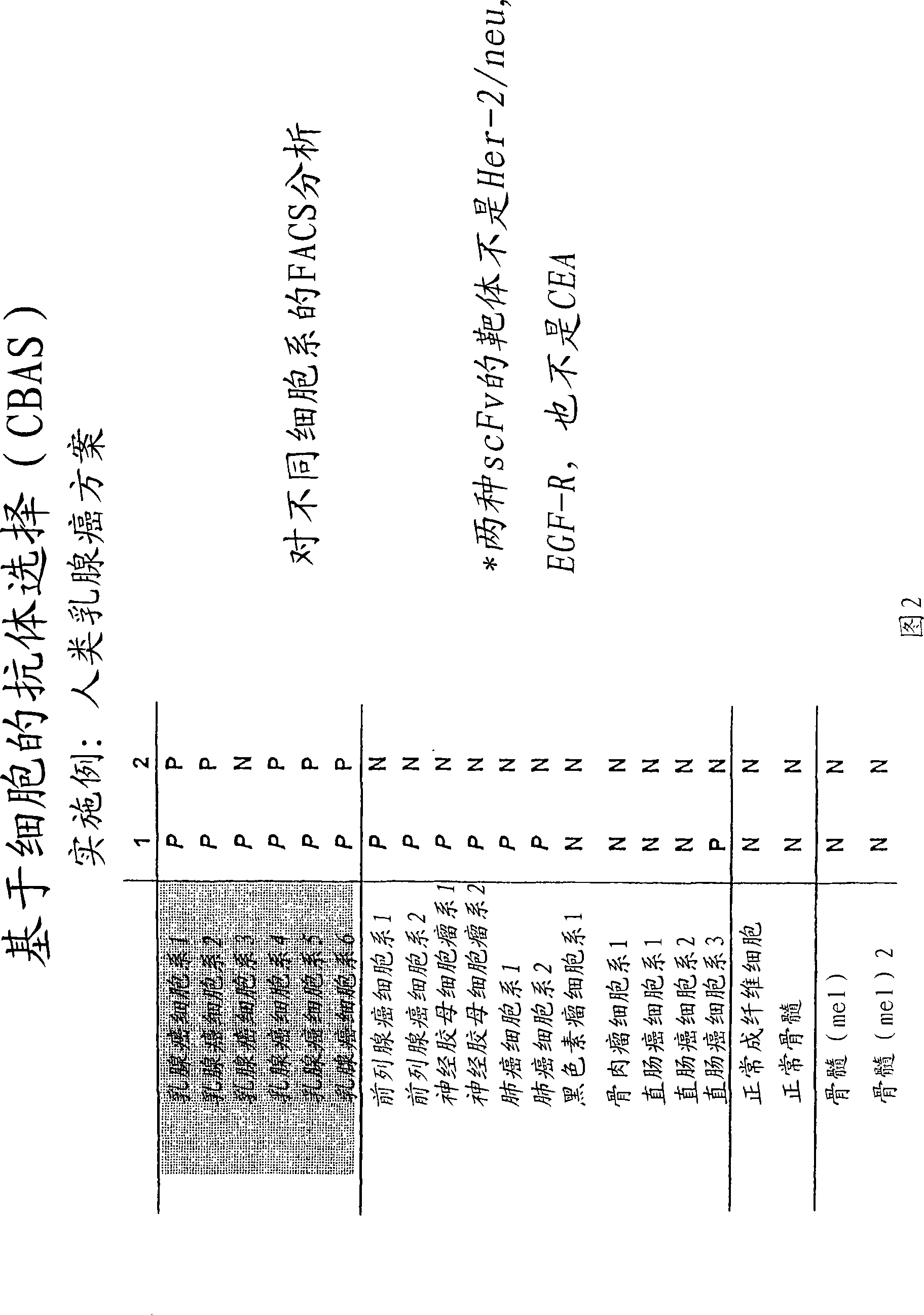 Antibody library screening method