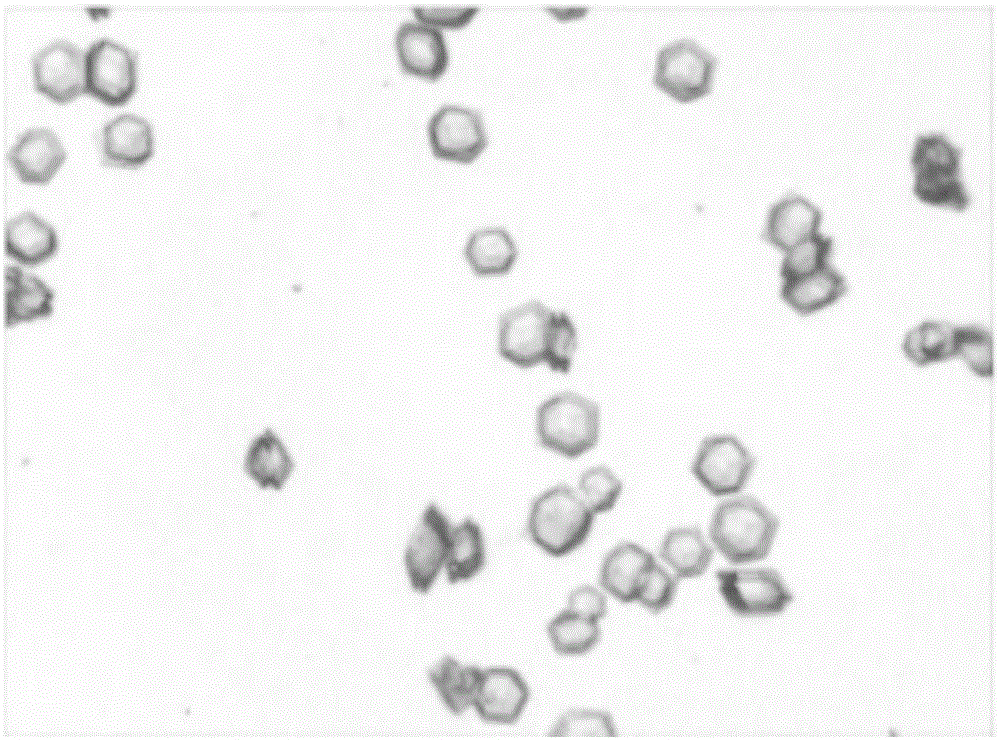 Method for preparing recombinant human insulin crystal