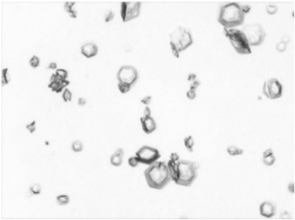 Method for preparing recombinant human insulin crystal