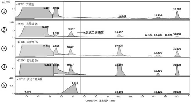 A method for preparing α, β unsaturated fatty acids by using fatty acid as raw material and utilizing Escherichia coli engineering bacteria