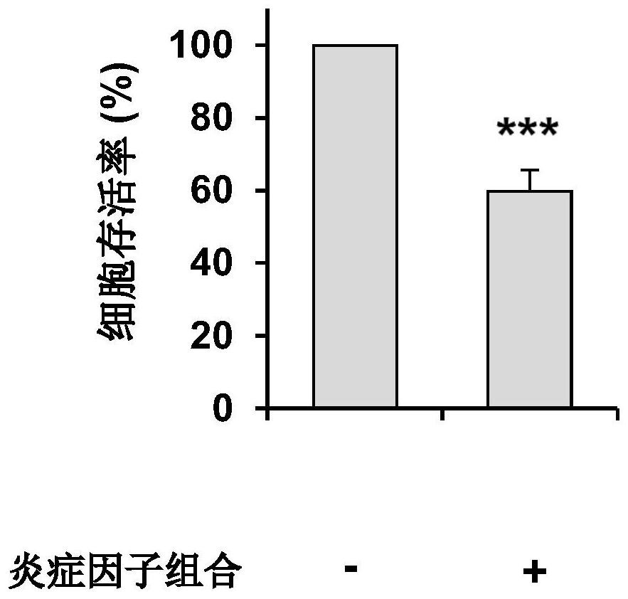 Application of Globulol