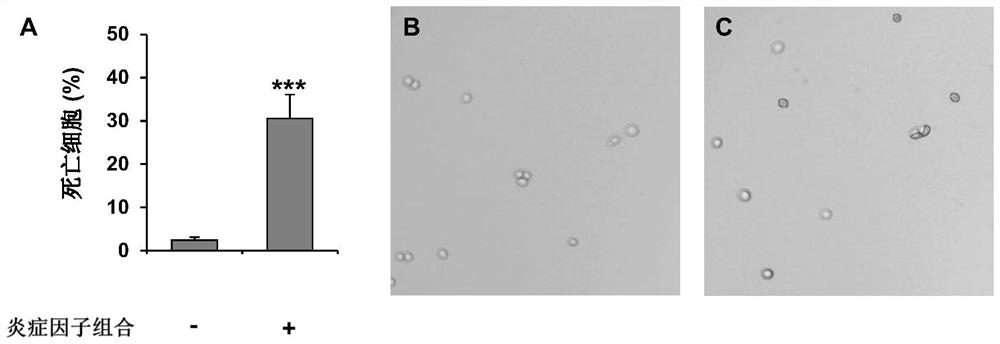 Application of Globulol