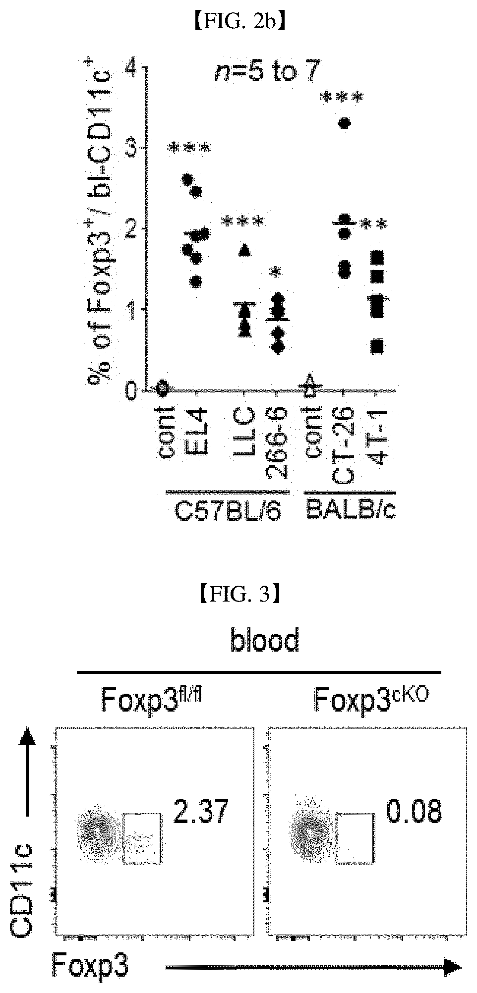 Use of dendritic cells expressing foxp3 for diagnosis or treatment of cancer