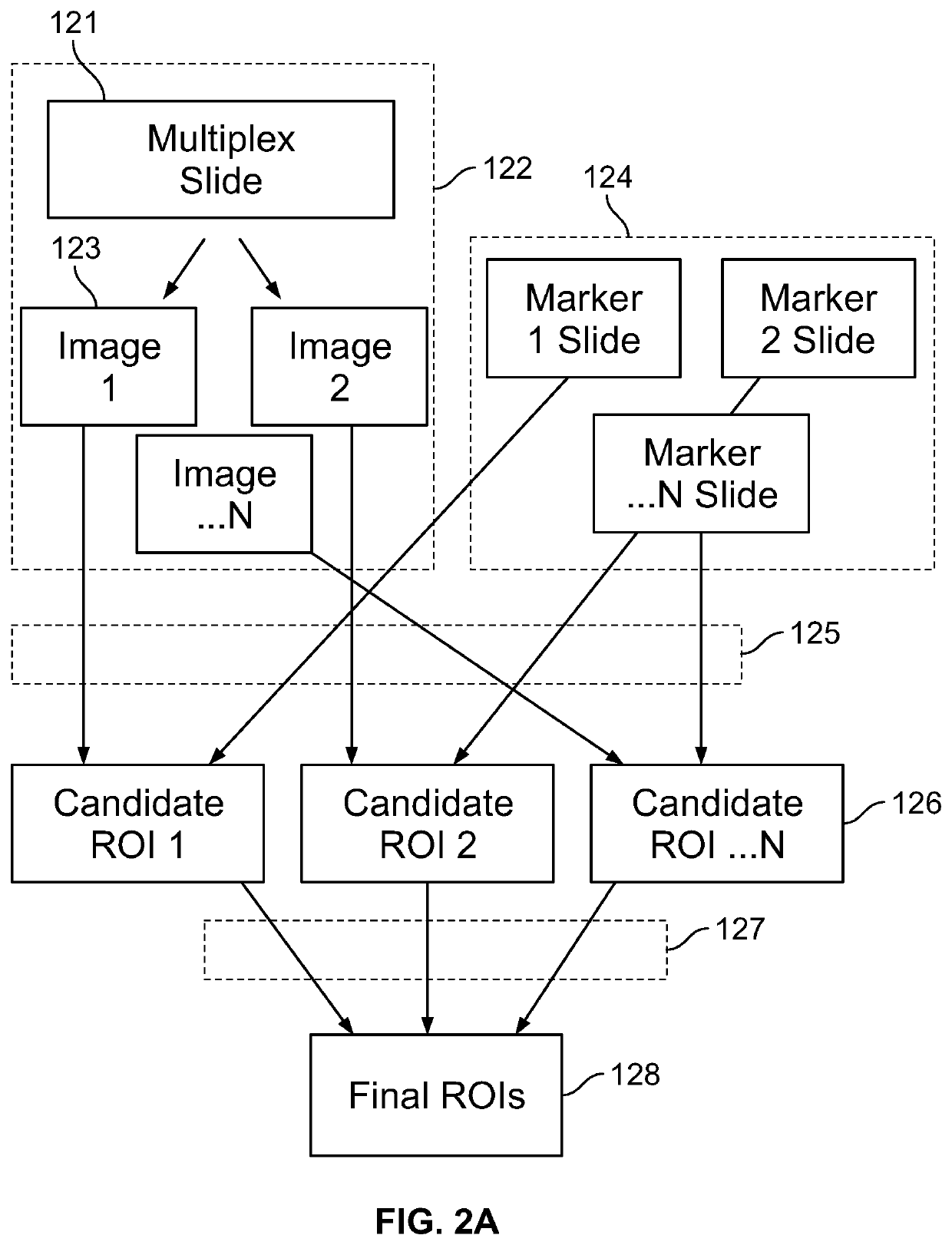 Systems and methods for co-expression analysis in immunoscore computation