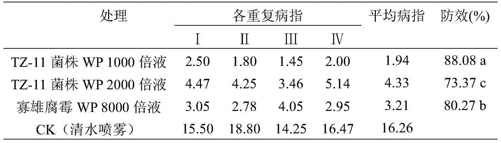 A strain of Trichoderma simulans tz-11 and its use