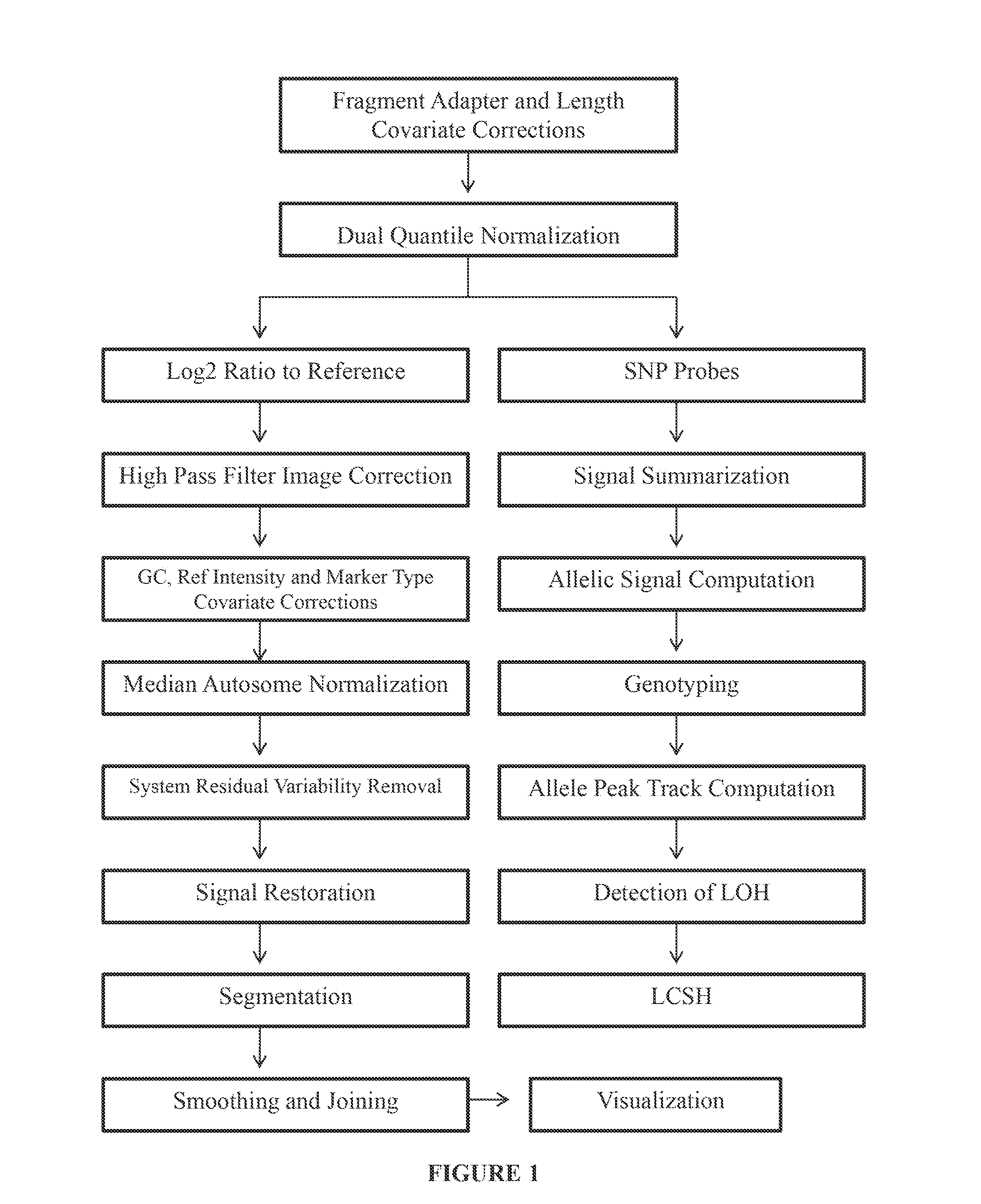 Analysis of Data Obtained from Microarrays