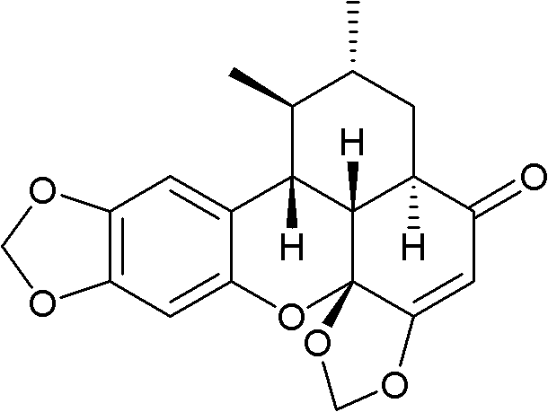 Chinese lizardtail rhizome or herb rootstock total effective fraction and preparation method and application thereof