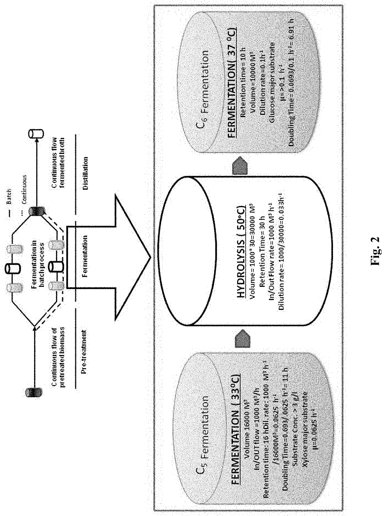 Method for continuous second-generation ethanol production in simultaneous saccharification and co-fermentation process