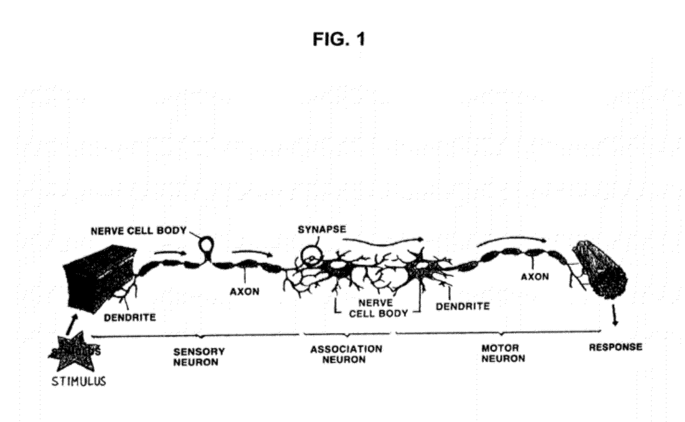 Readiness potential-based brain-computer interface device and method