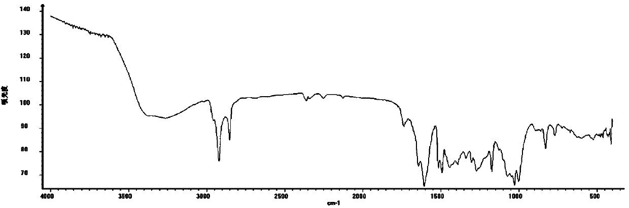 Compound Oleraciamide E in Portulaca oleracea L. as well as extraction and separation method and application of compound Oleraciamide E