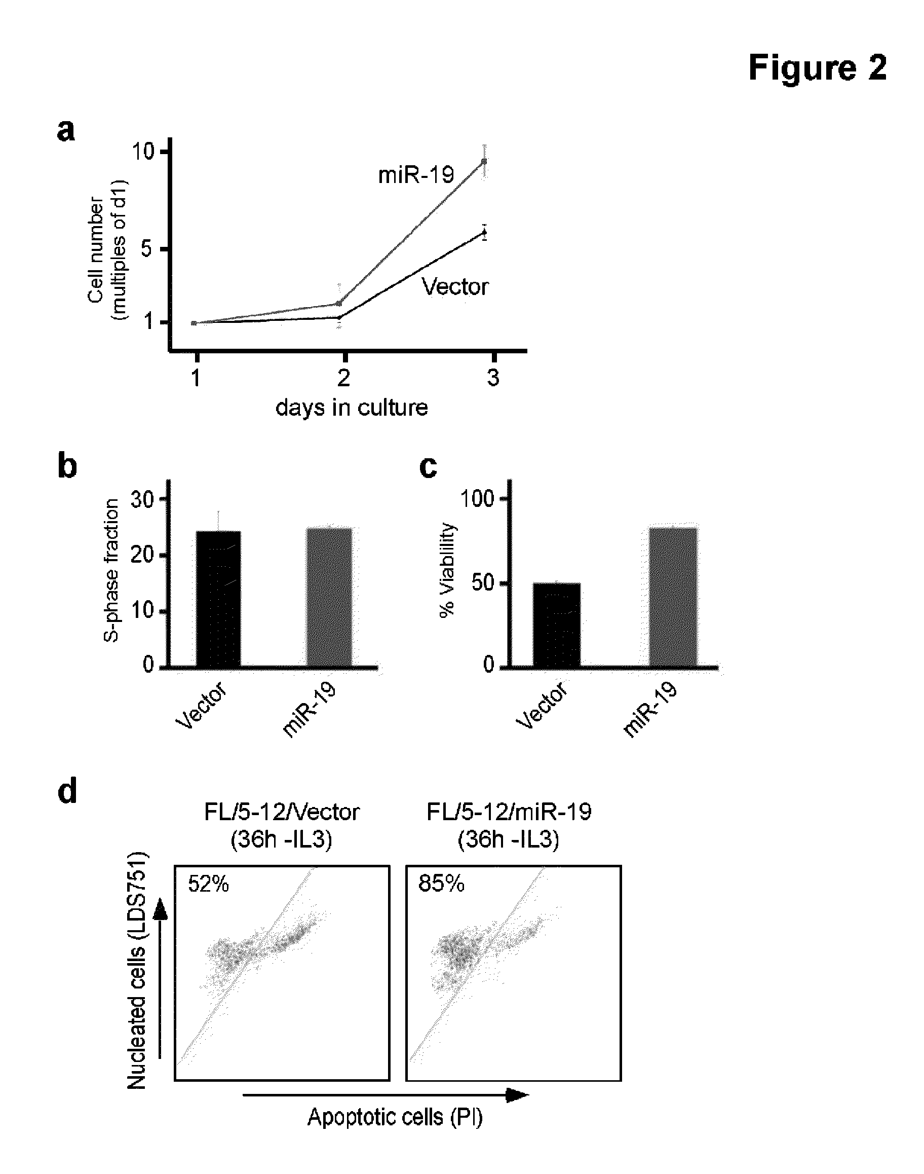 Methods and Compositions for the Detection and Treatment of Cancer involving miRNAs and miRNA Inhibitors and Targets