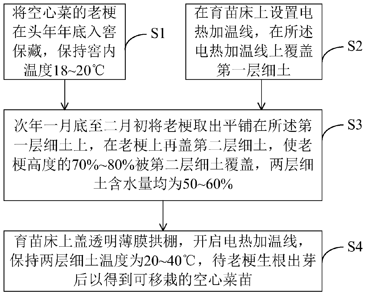 Fast Ipomoea aquatica seedling culture method