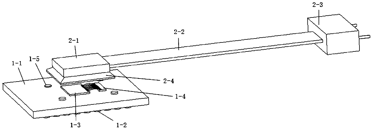 Multi-path optical module