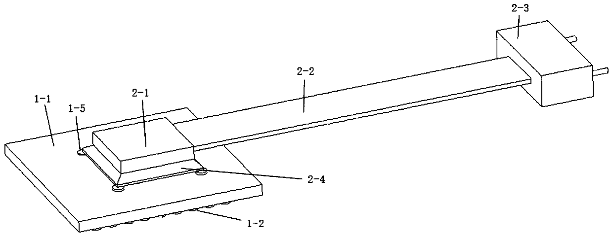 Multi-path optical module