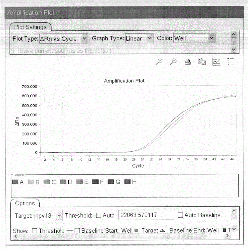 Nucleic acid detection kit for 12+2 high-risk human papilloma virus (HPV)