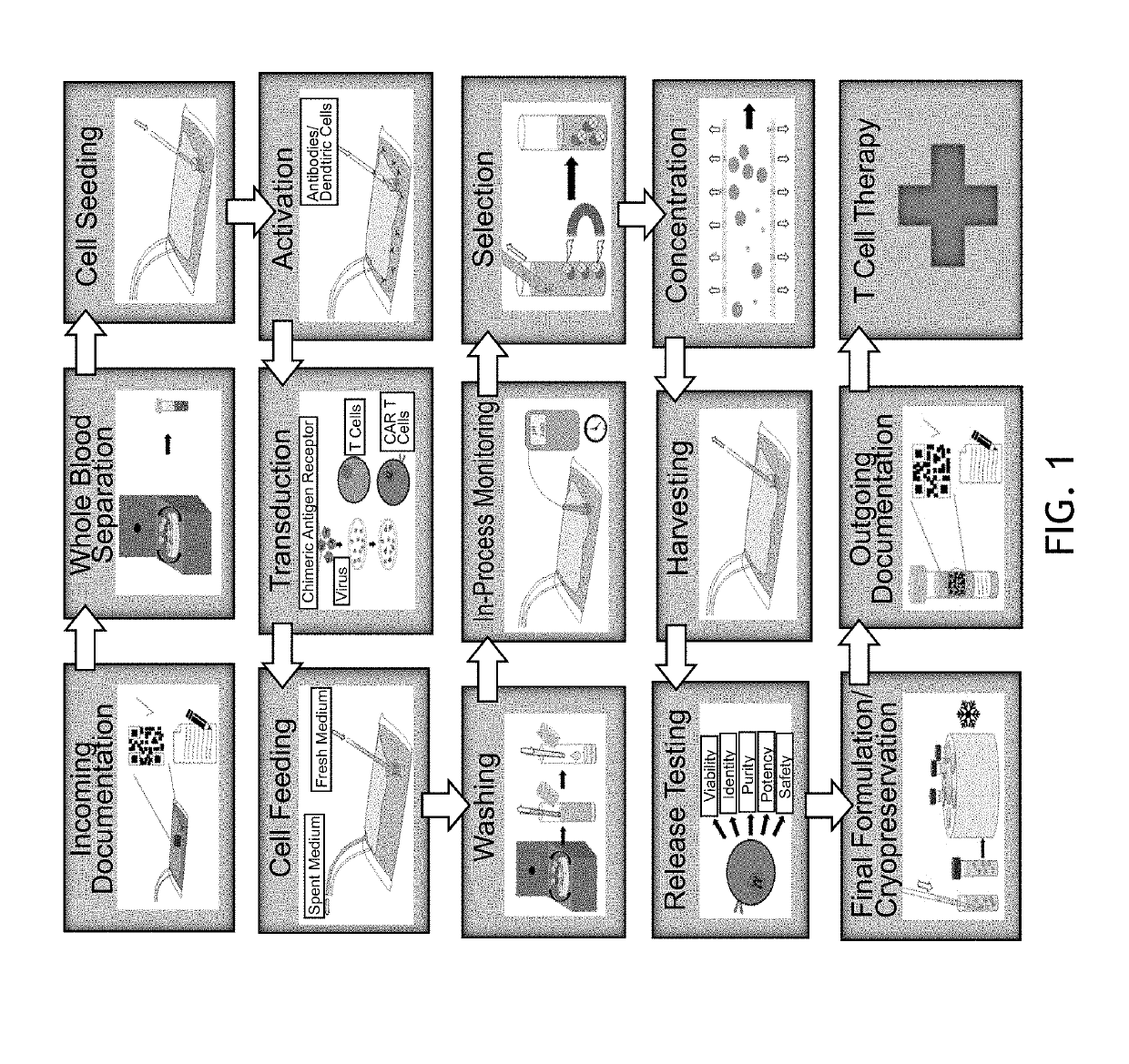 End-to-end cell therapy automation