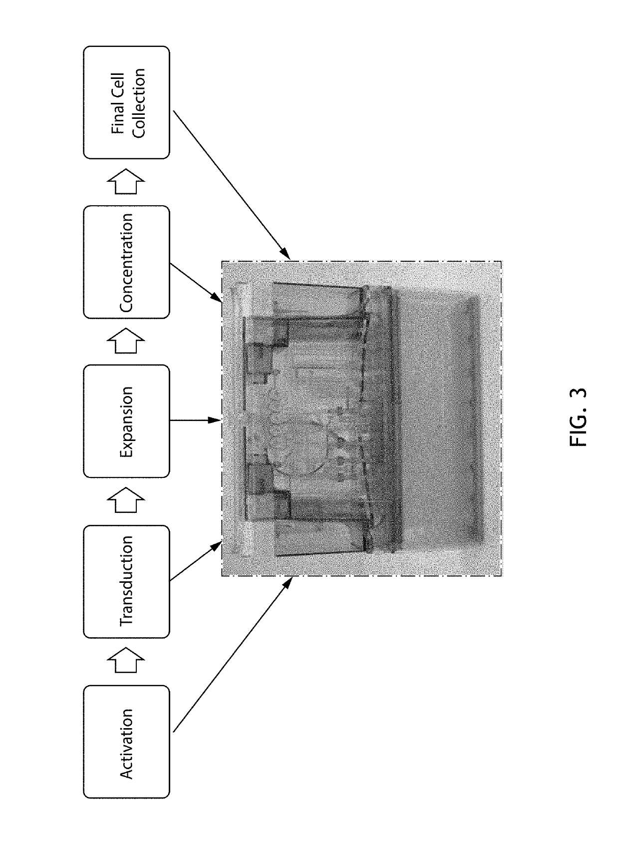 End-to-end cell therapy automation