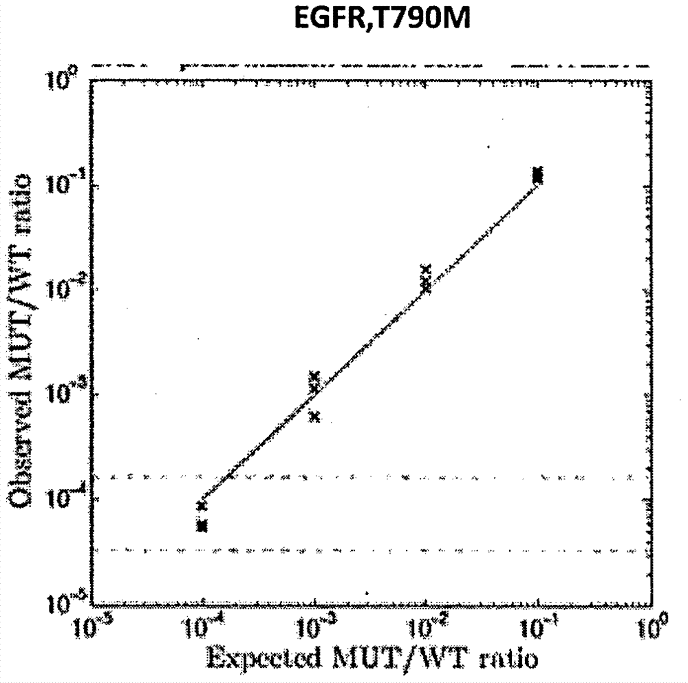 Method for detecting multi-locus low-frequency mutation of free target DNA of lung cancer plasma and kit