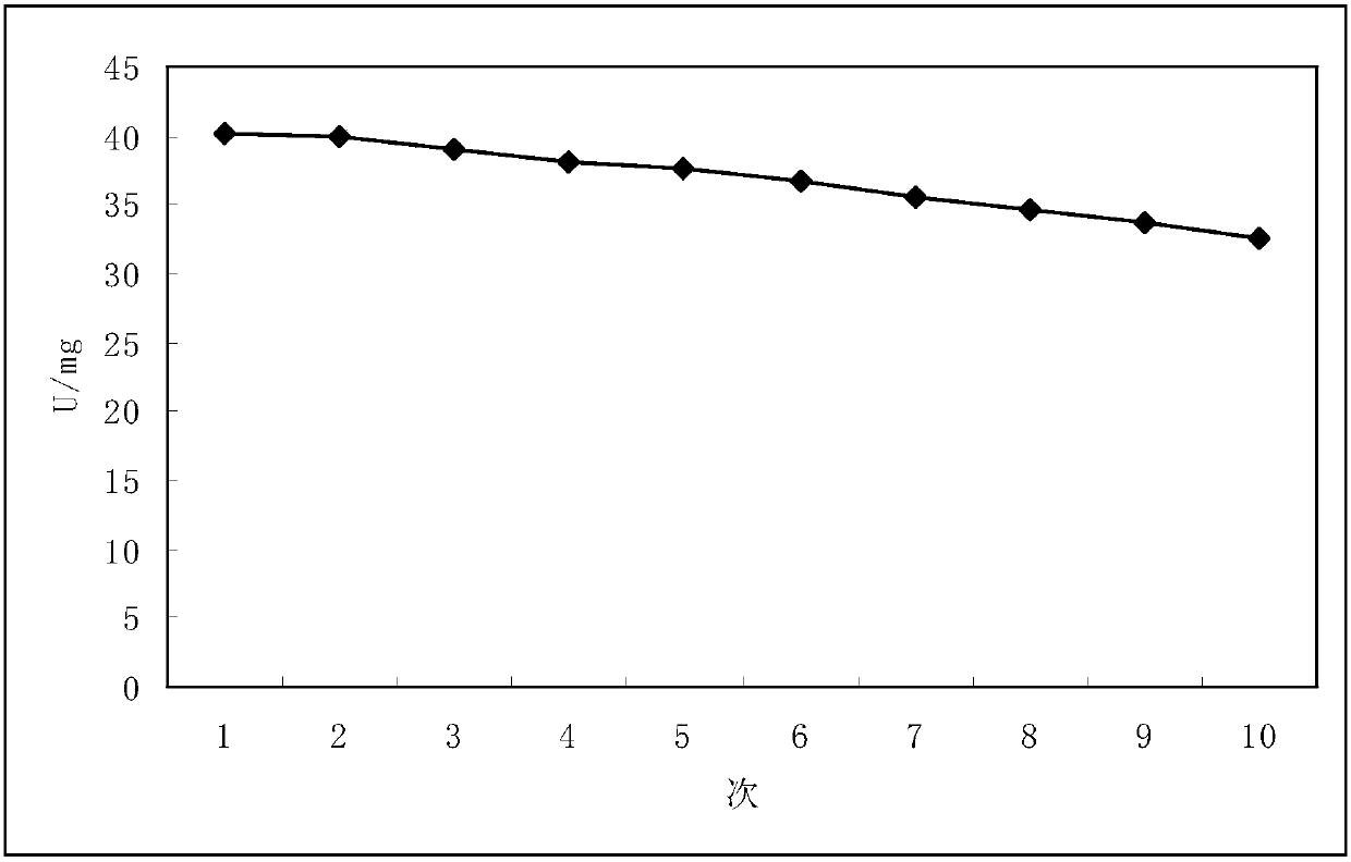 A kind of biotransformation method of agmatine sulfate