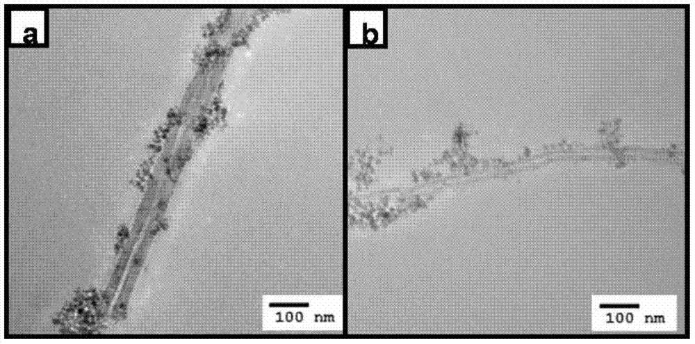 Magnetic carbon nanotube and preparation method thereof