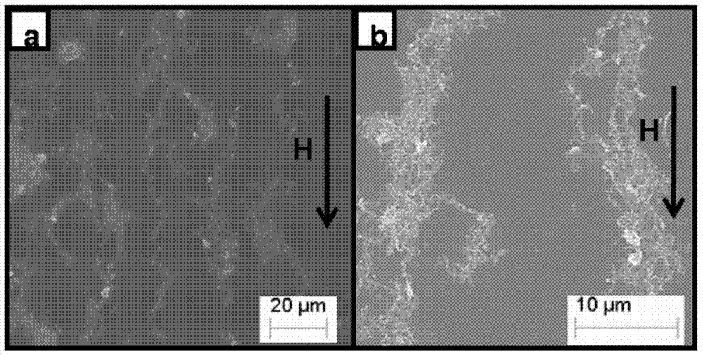 Magnetic carbon nanotube and preparation method thereof