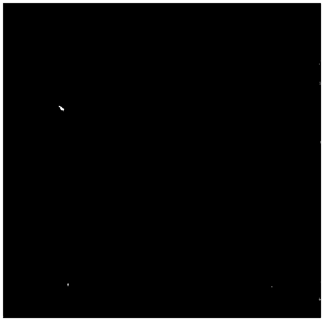 Ground object recognition method based on hyperspectral image unmixing