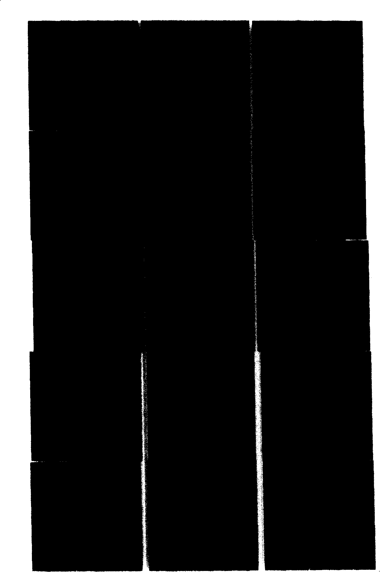 Multisensor image fusion method based on optimized small wave filter set